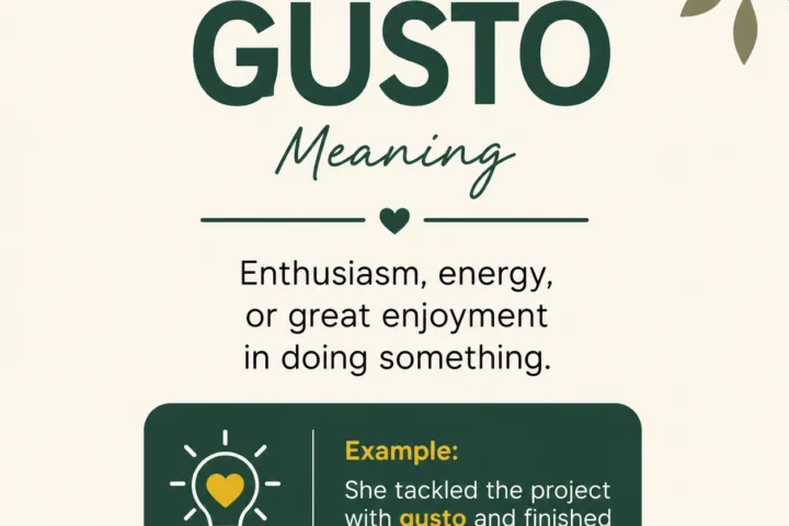 Gusto Meaning: What This Lively Word Really Means is the best in 2026